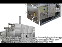 Apparecchiature di liofiliazione a vuoto Quanto personalizzare per la macchina di liofiliazione