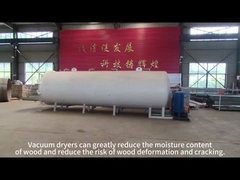 Forno per l'essiccazione del legno a vuoto con capacità di evaporazione e vuoto personalizzati